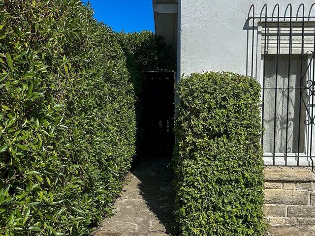 place photo 36