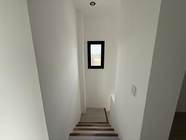 place photo 50