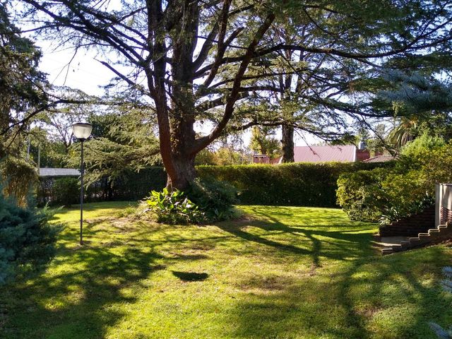 place photo 27
