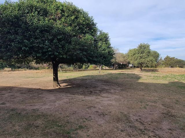 place photo 31