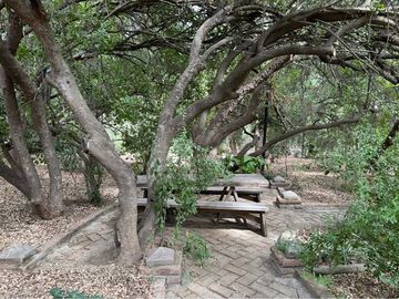 place photo 26