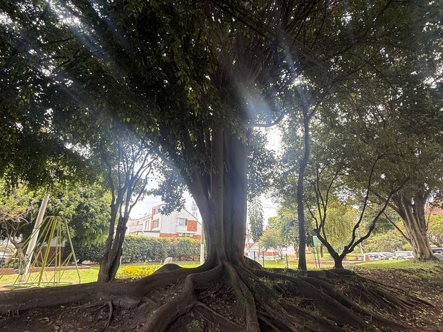 place photo 20