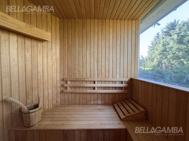 place photo 50