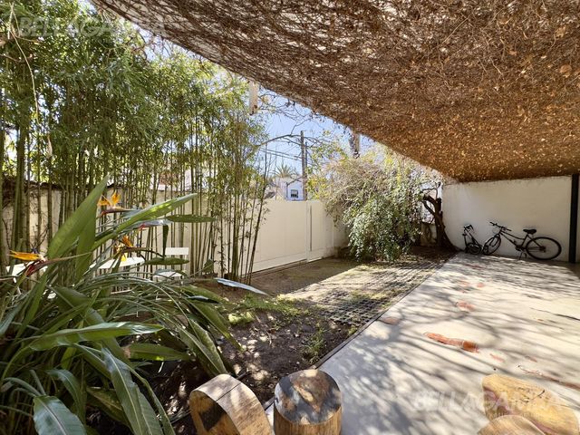 place photo 54