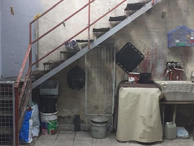 place photo 17