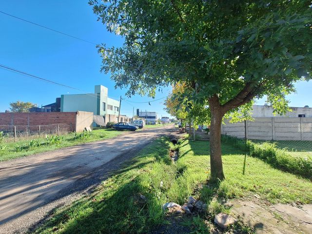 place photo 19