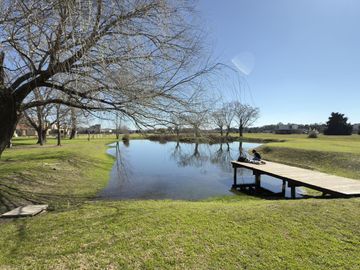 place photo 41