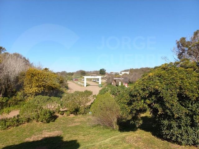 place photo 34