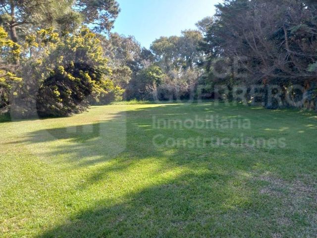place photo 32