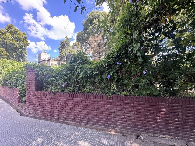 place photo 40