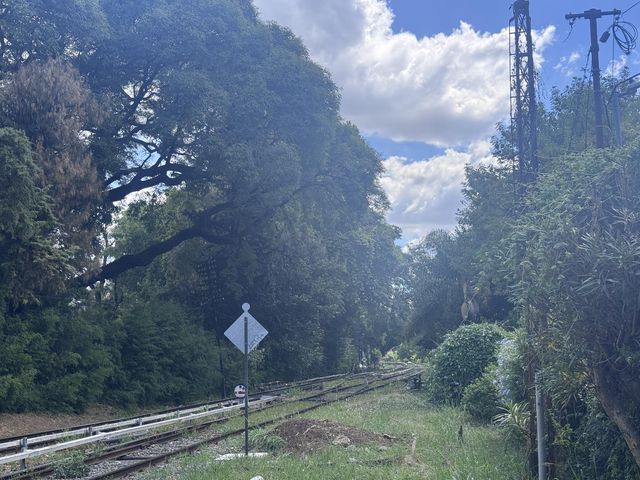 place photo 44
