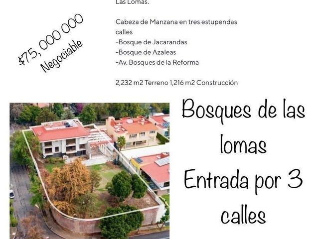 Terreno plano bosques de las lomas