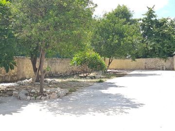 place photo 23