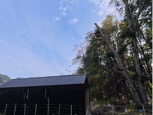 place photo 19
