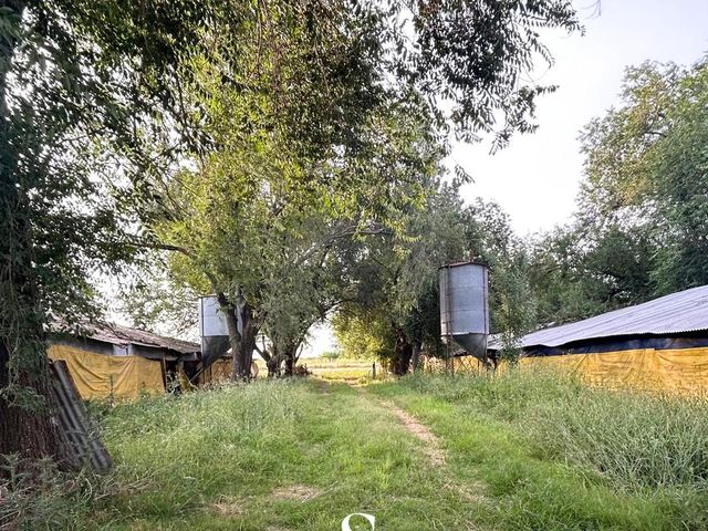 place photo 40