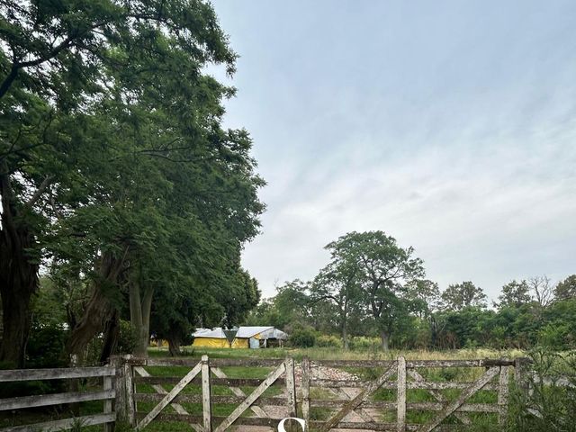 place photo 23
