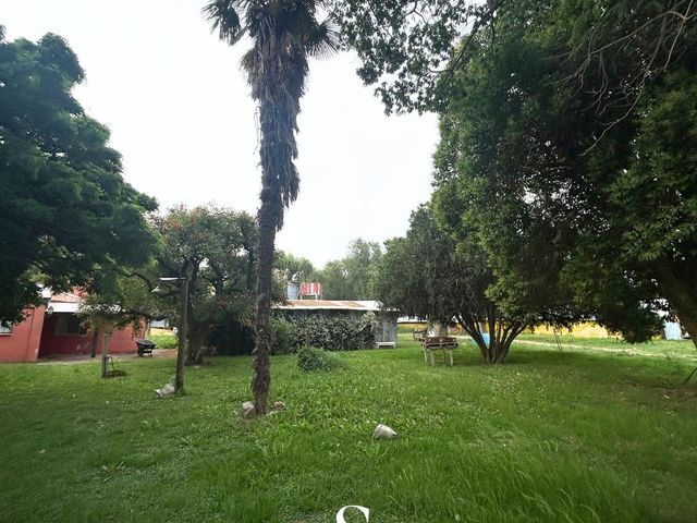 place photo 43