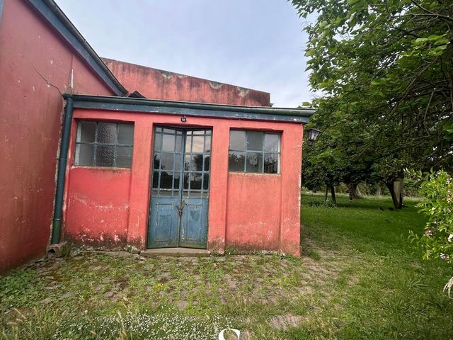 place photo 44