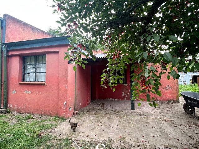 place photo 19