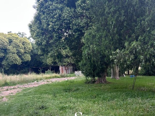 place photo 34