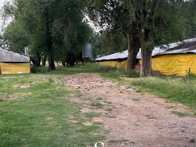 place photo 33