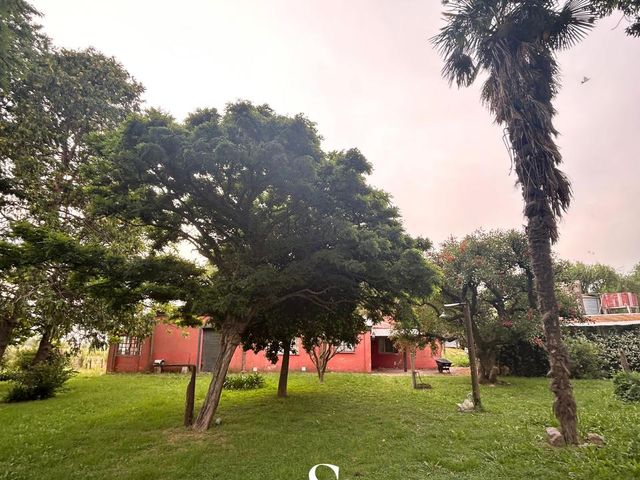 place photo 39