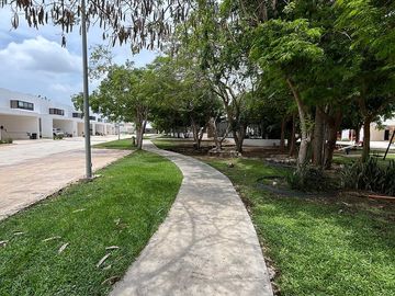 place photo 40