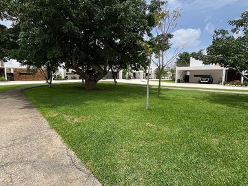 place photo 46