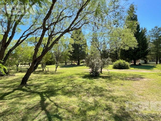 place photo 45