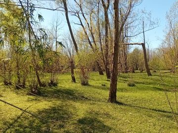 place photo 29