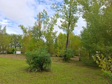 place photo 36
