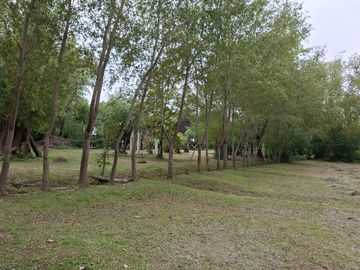 place photo 40