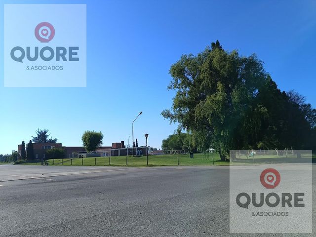 place photo 38