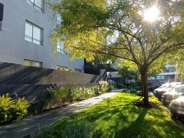 place photo 59