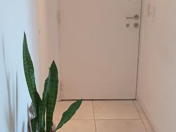 place photo 61