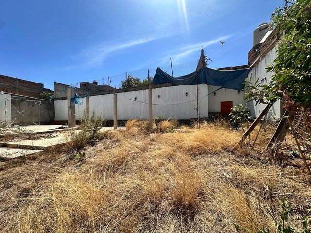 place photo 12