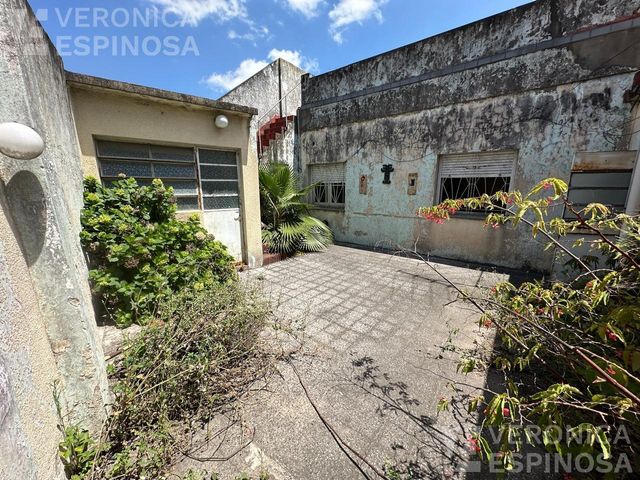 place photo 26