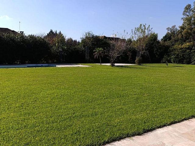 place photo 47
