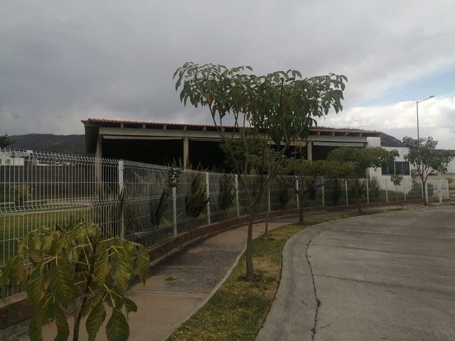 place photo 16