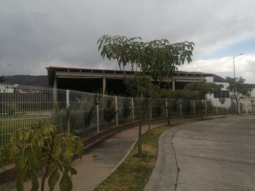 place photo 16