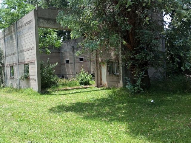 place photo 11