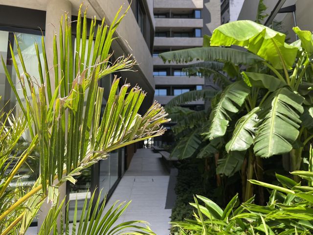 place photo 41
