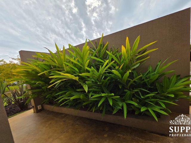 place photo 55