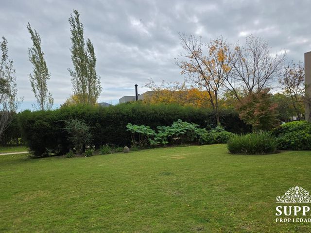 place photo 65