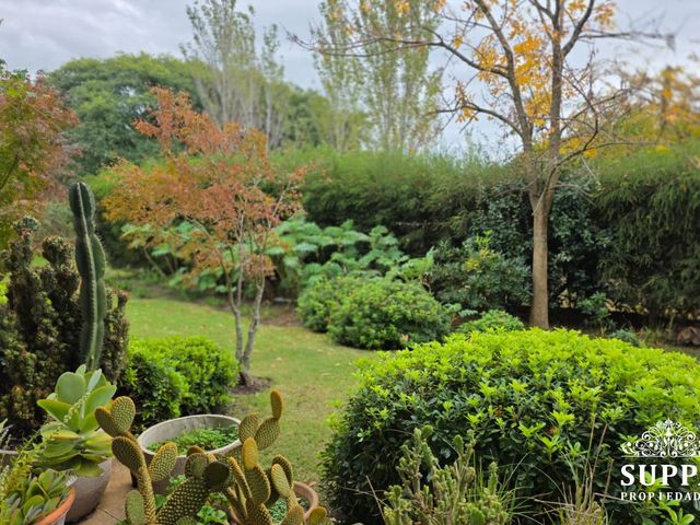 place photo 66