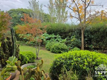 place photo 66