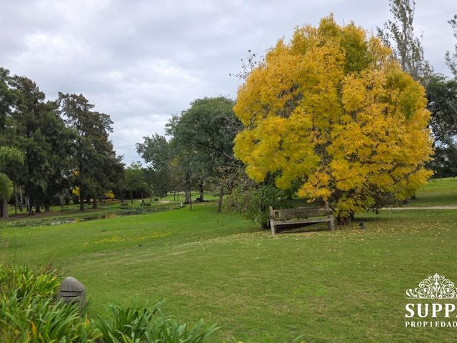place photo 48