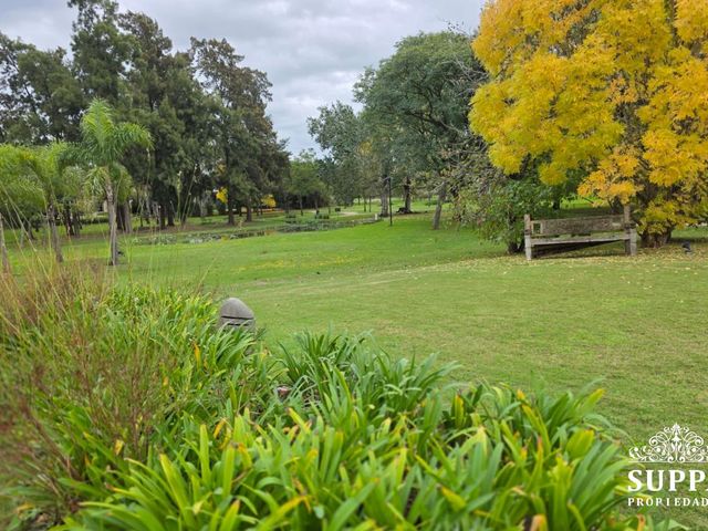 place photo 47