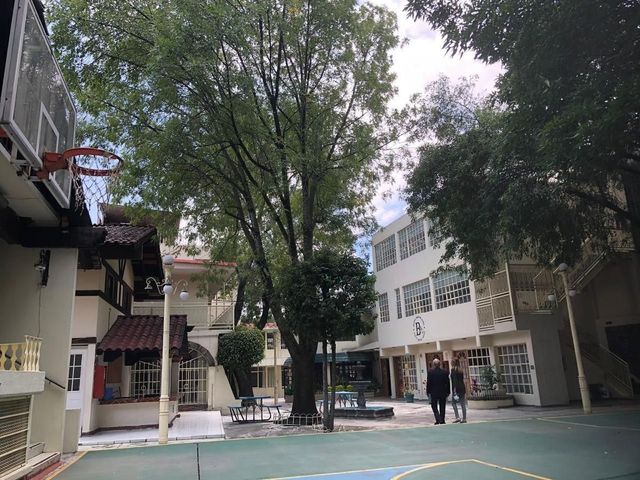 place photo 14