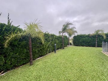 place photo 47